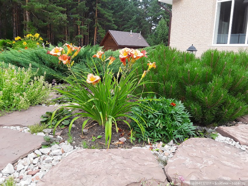 Август-последний летний месяц, гуляем и наслаждаемся вместе с любимыми куколками