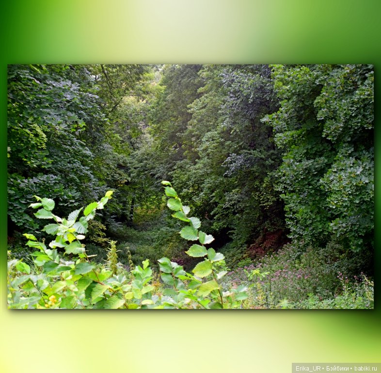 Сопутствующее куклам увлечение, 09.08.2019