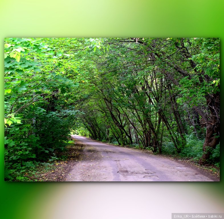 Сопутствующее куклам увлечение, 09.08.2019