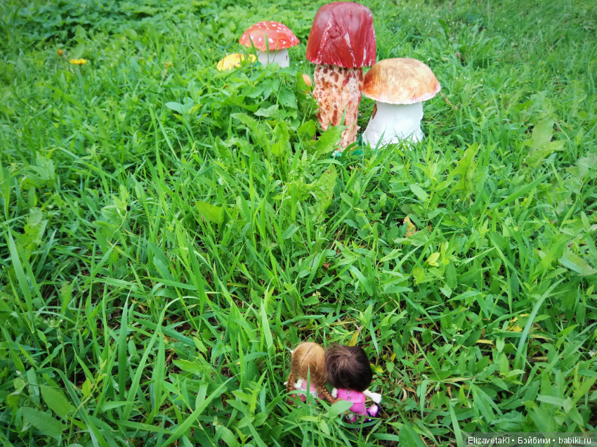 По грибы. Realpuki. 47 часть (фото 5)