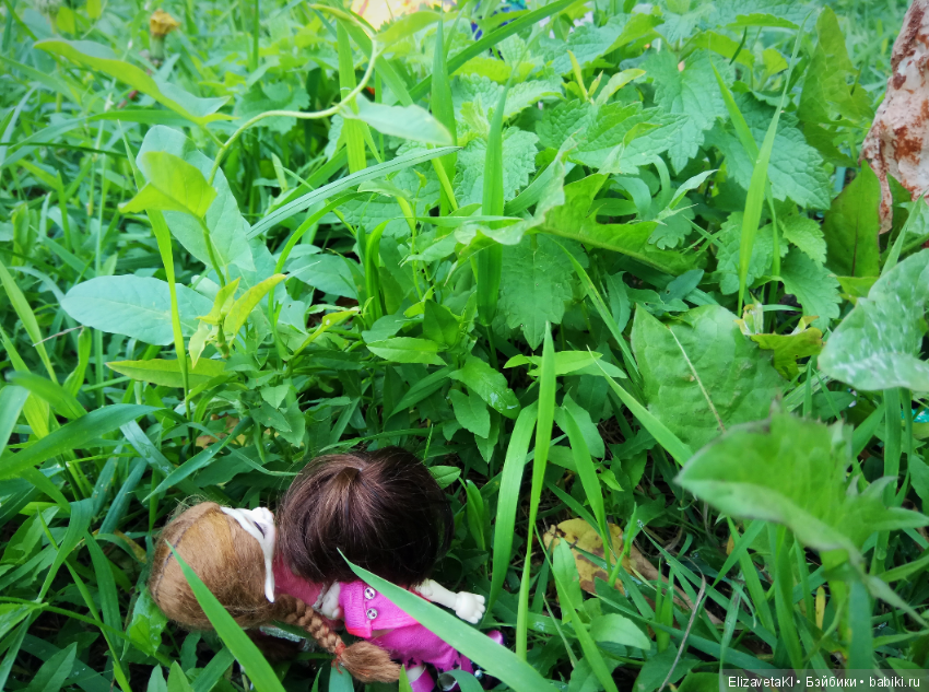 По грибы. Realpuki. 47 часть (фото 2)