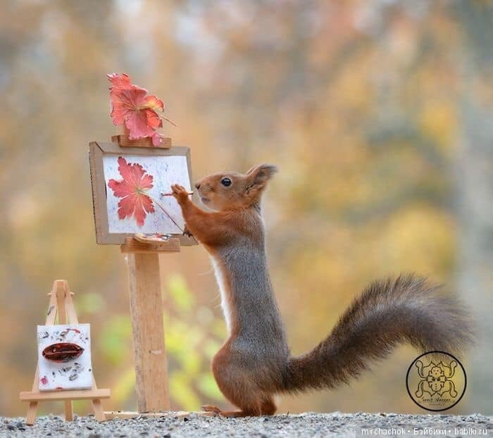 Белка песенки поёт, да орешки всё грызёт