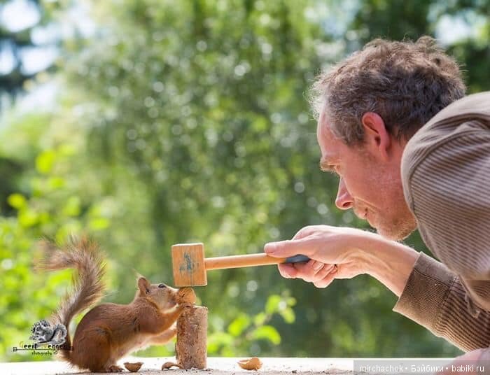 Белка песенки поёт, да орешки всё грызёт