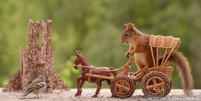 Белка песенки поёт, да орешки всё грызёт