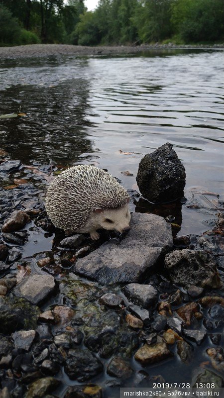Отпуск с моими куклами в Нижнем Тагиле