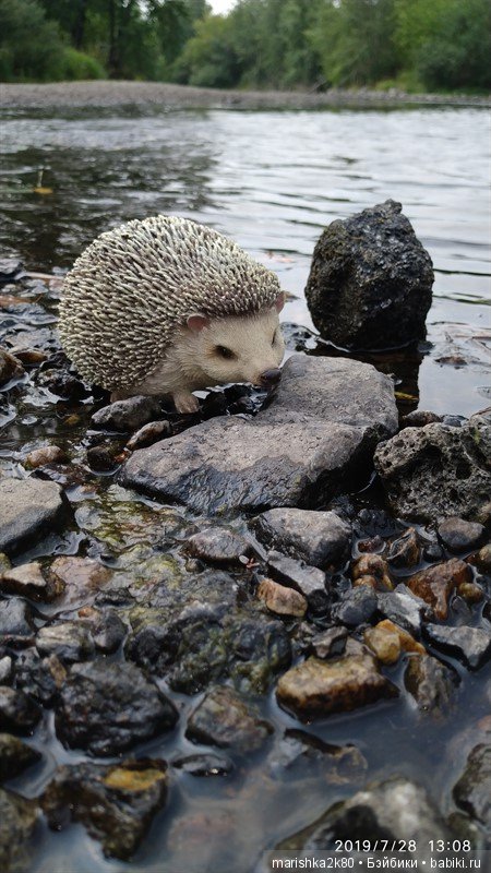 Отпуск с моими куклами в Нижнем Тагиле