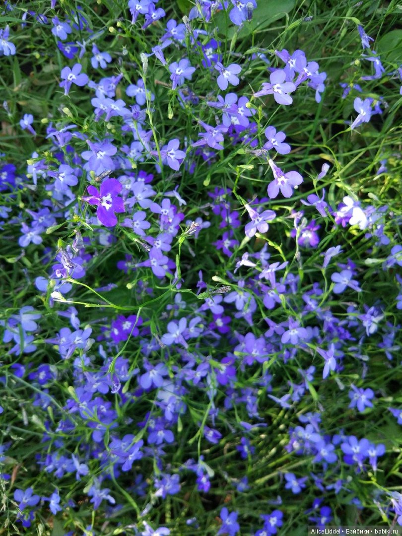 Кошмурики покрупнее — Текстильные игрушки и примитивы: кофейные (фото 10)