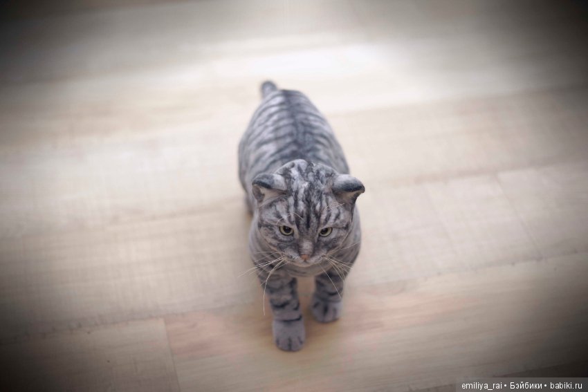 Шотландский вислоухий котик. Реалистичная игрушка