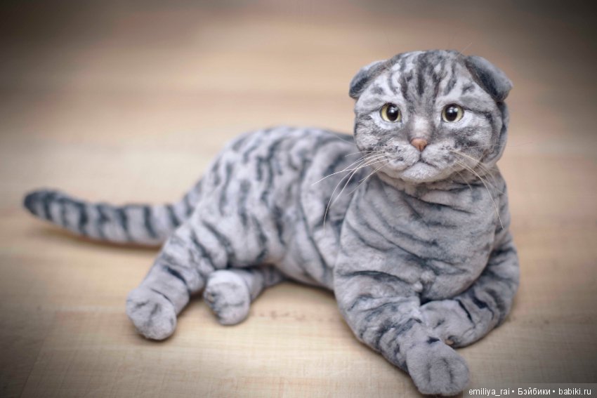 Шотландский вислоухий котик. Реалистичная игрушка (фото 2)