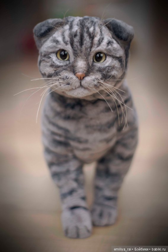 Шотландский вислоухий котик. Реалистичная игрушка