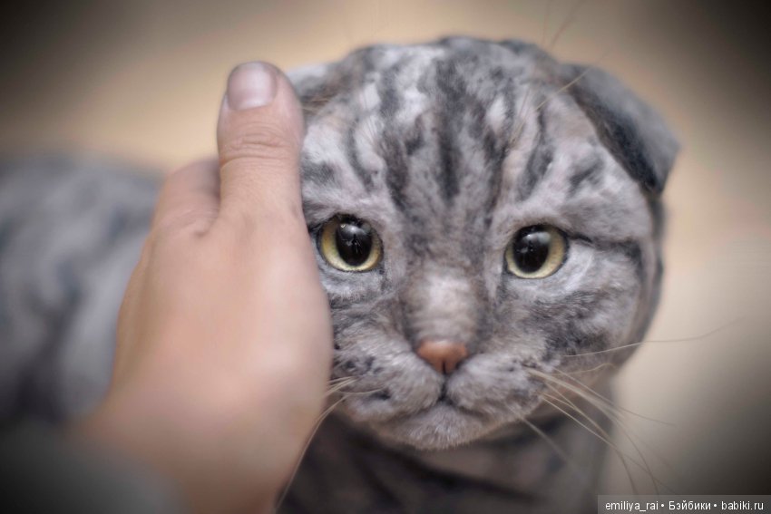 Шотландский вислоухий котик. Реалистичная игрушка