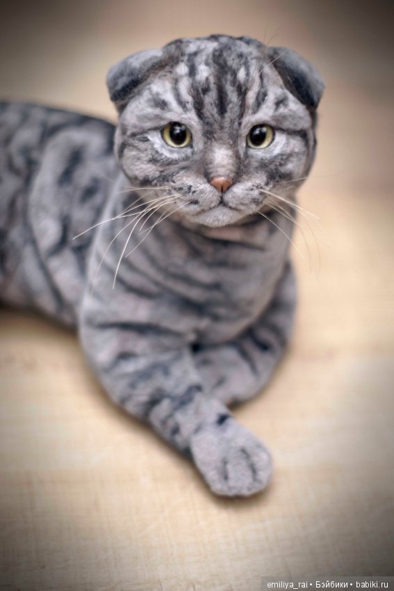 Шотландский вислоухий котик. Реалистичная игрушка (фото 3)