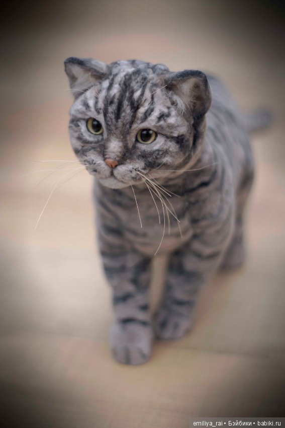 Шотландский вислоухий котик. Реалистичная игрушка