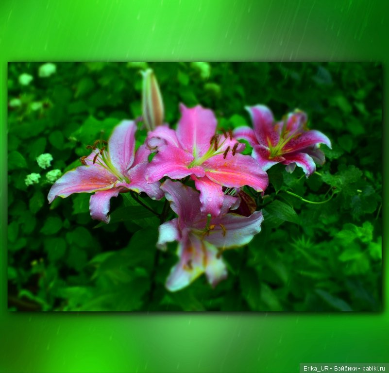 Нижний Новгород, 31 июля 2019