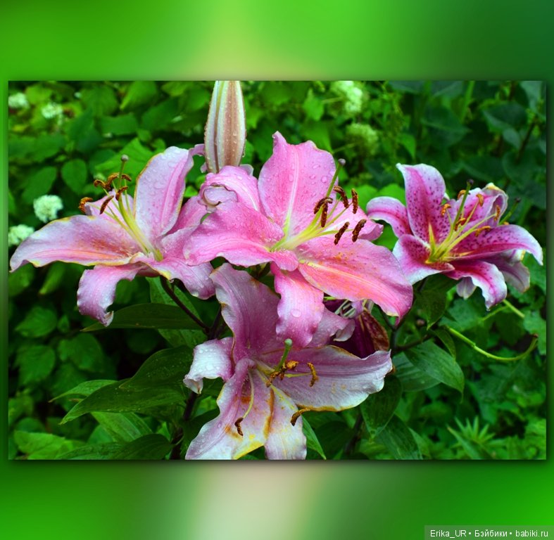 Нижний Новгород, 31 июля 2019