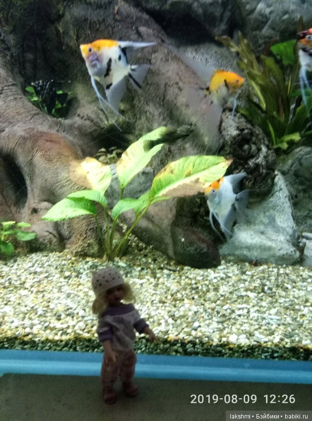 Лазаревская 2019 — Куклы Helen Kish (Хелен Киш): Riley (Райли)