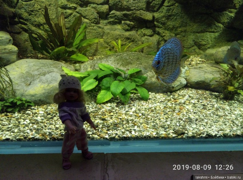 Лазаревская 2019 — Куклы Helen Kish (Хелен Киш): Riley (Райли)