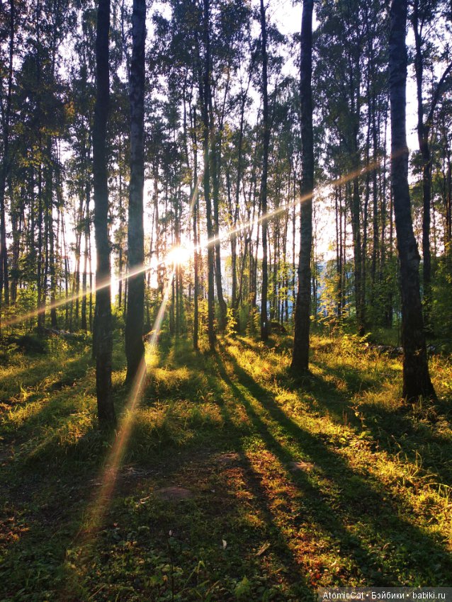 Выбор пути — Куклы Integrity Toys (Интегрити): Poppy Parker (фото 4)