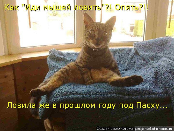 Просто ржака — Интересное и необычное: фотоподборки (фото 2)