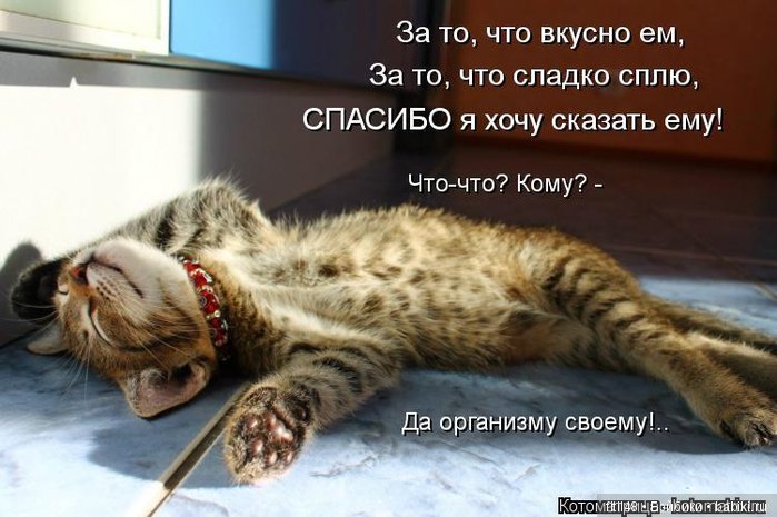 Просто ржака — Интересное и необычное: фотоподборки