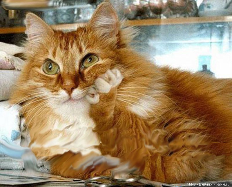 Просто ржака — Интересное и необычное: фотоподборки (фото 3)