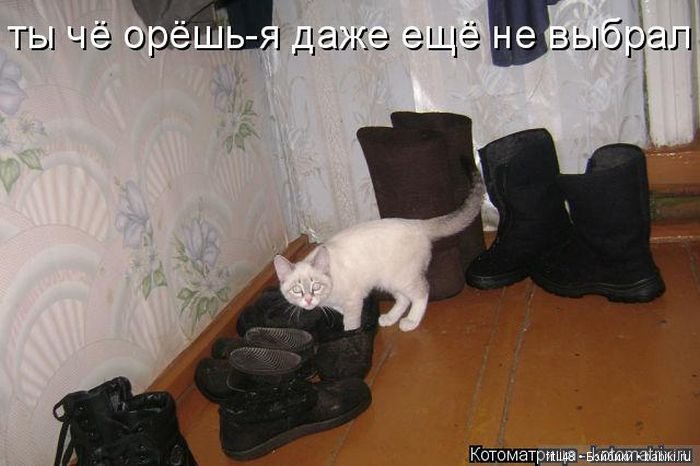 Просто ржака — Интересное и необычное: фотоподборки