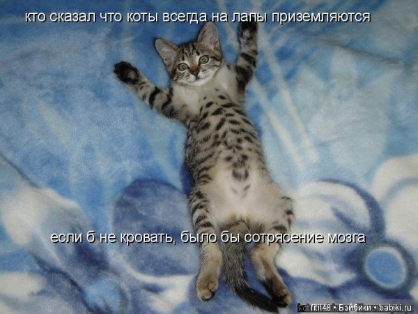 Просто ржака — Интересное и необычное: фотоподборки (фото 6)