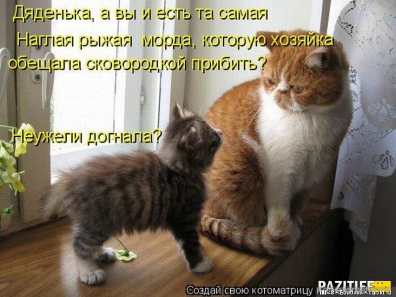 Просто ржака — Интересное и необычное: фотоподборки