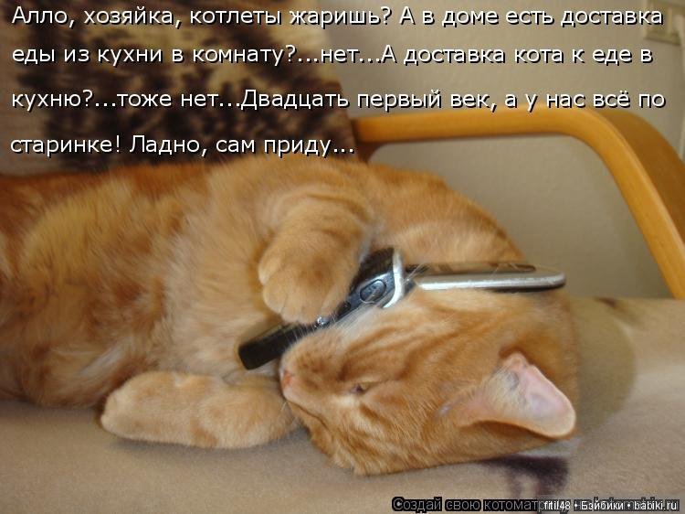 Просто ржака — Интересное и необычное: фотоподборки