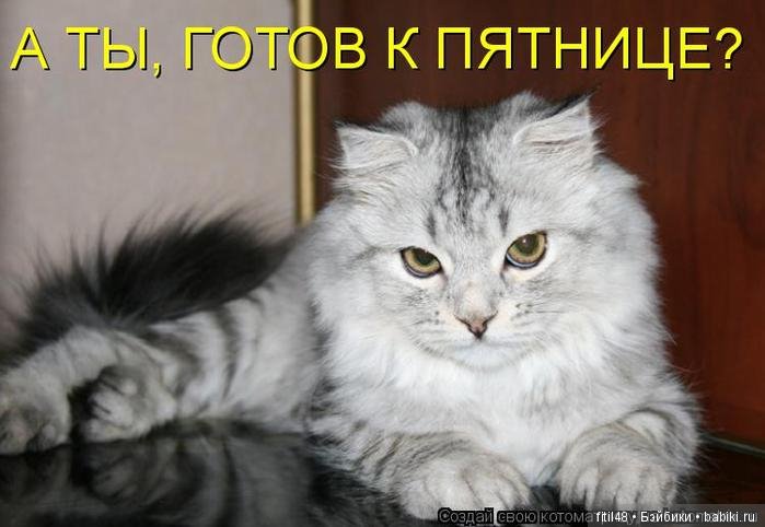 Просто ржака — Интересное и необычное: фотоподборки