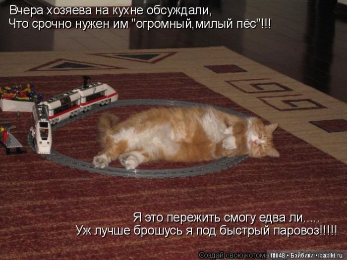 Просто ржака — Интересное и необычное: фотоподборки