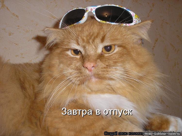 Просто ржака — Интересное и необычное: фотоподборки (фото 7)