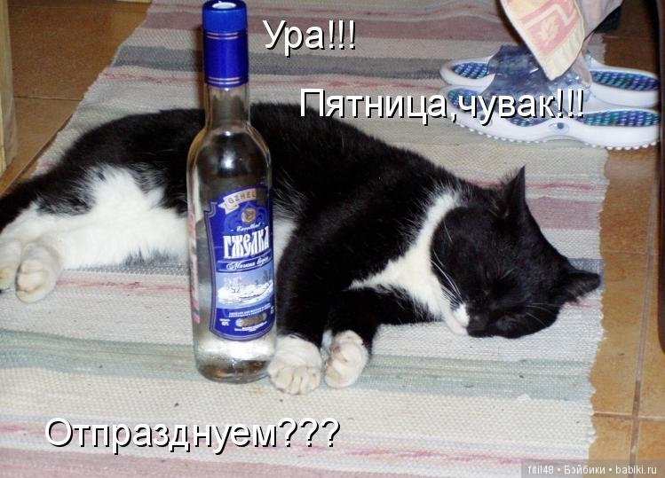 Просто ржака — Интересное и необычное: фотоподборки