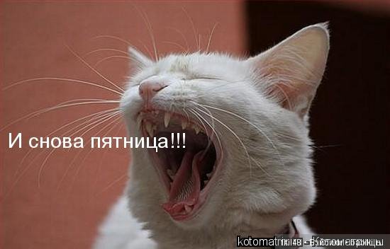 Просто ржака — Интересное и необычное: фотоподборки