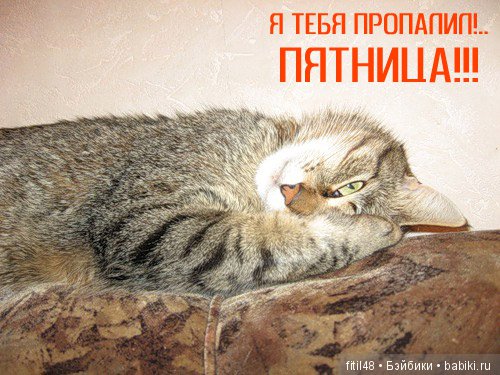 Просто ржака — Интересное и необычное: фотоподборки