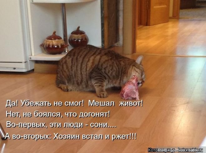 Просто ржака — Интересное и необычное: фотоподборки