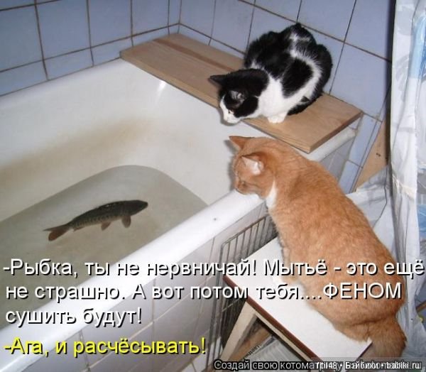 Просто ржака — Интересное и необычное: фотоподборки (фото 4)