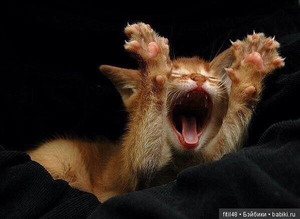 Просто ржака — Интересное и необычное: фотоподборки