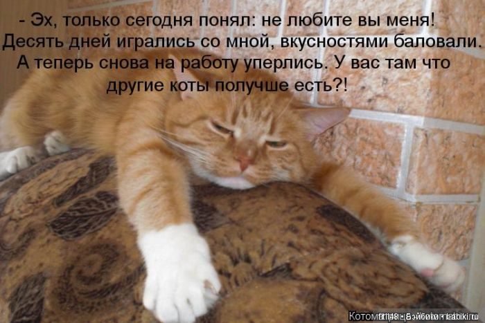 Просто ржака — Интересное и необычное: фотоподборки