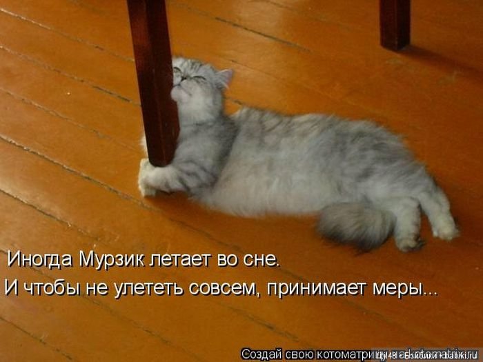 Просто ржака — Интересное и необычное: фотоподборки