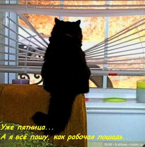 Просто ржака — Интересное и необычное: фотоподборки