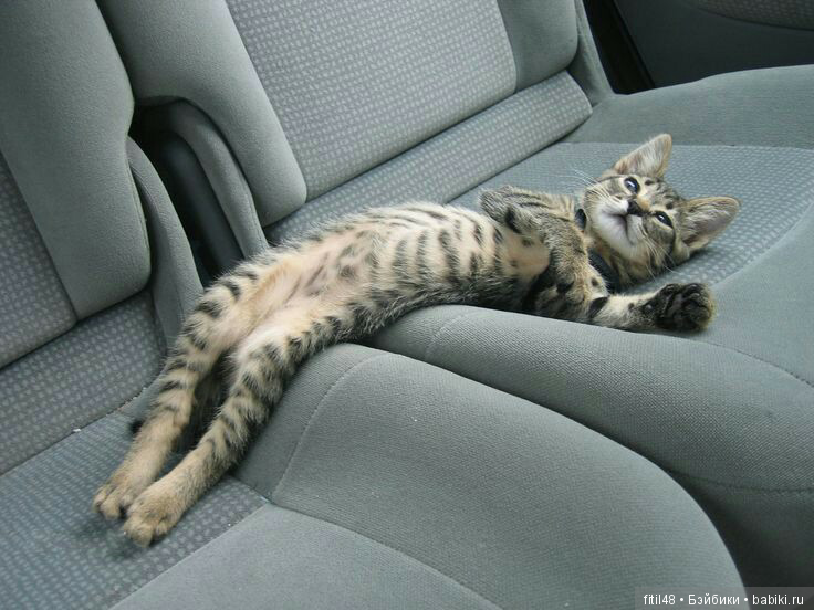 Просто ржака — Интересное и необычное: фотоподборки