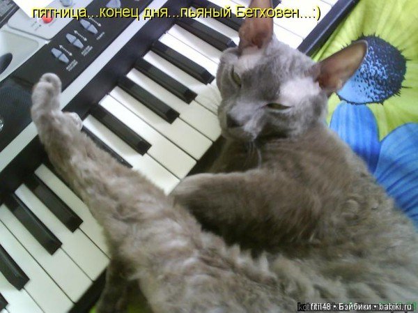 Просто ржака — Интересное и необычное: фотоподборки