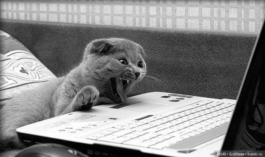 Просто ржака — Интересное и необычное: фотоподборки