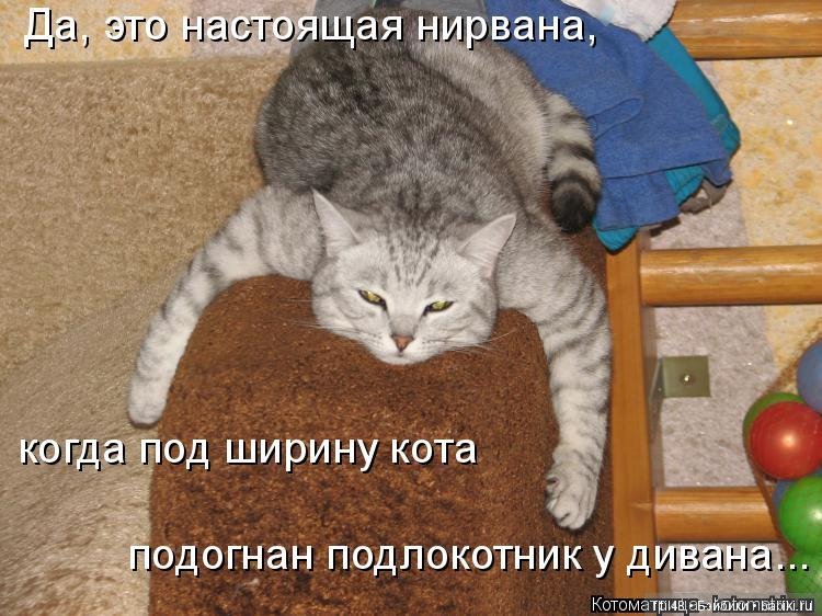 Просто ржака — Интересное и необычное: фотоподборки