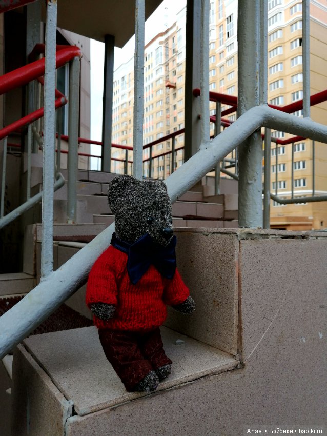 Знакомьтесь, медведь по имени Ров (фото 7)