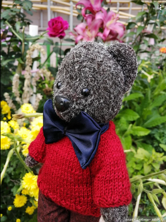 Знакомьтесь, медведь по имени Ров (фото 3)