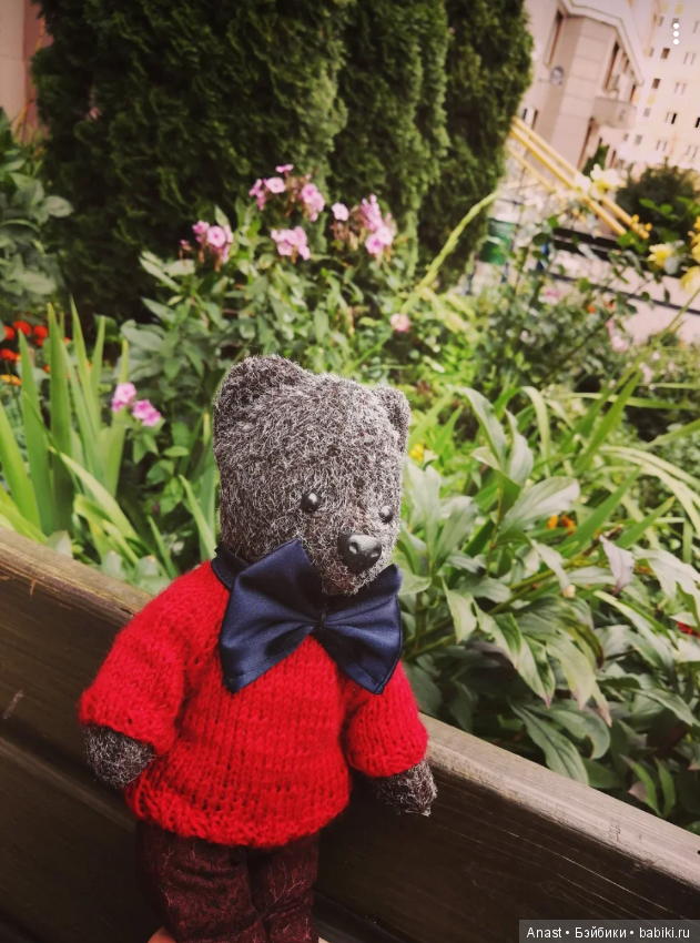 Знакомьтесь, медведь по имени Ров (фото 2)