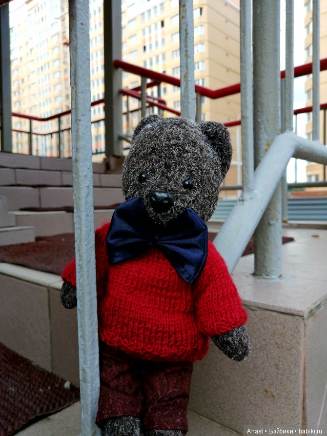 Знакомьтесь, медведь по имени Ров (фото 6)