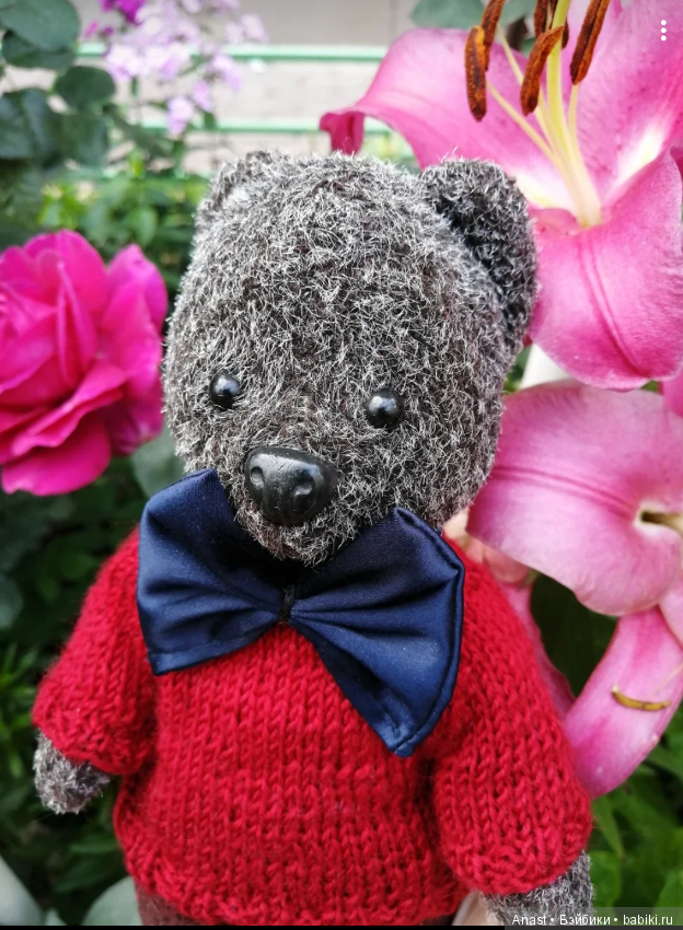 Знакомьтесь, медведь по имени Ров (фото 8)